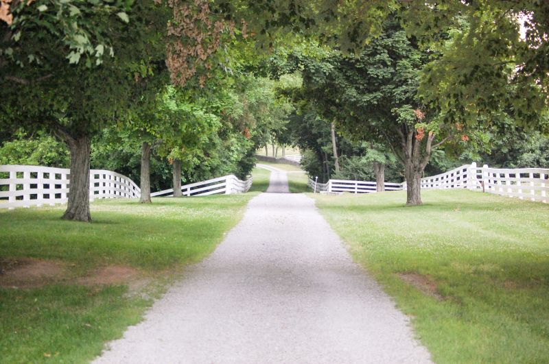Pathway and Driveway Masonry